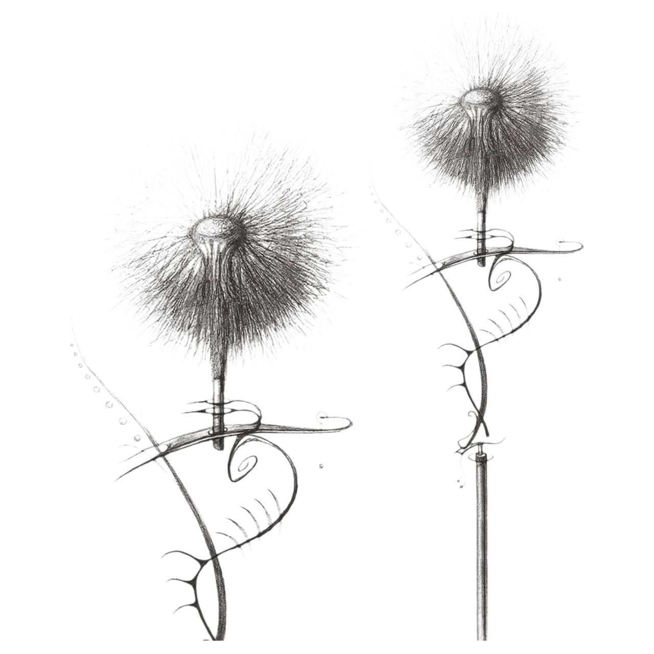 / Geisha Balls 2 - variálható gésagolyó szett (pink-fehér) / Geisha Balls 2 - variálható gésagolyó szett (pink-fehér)