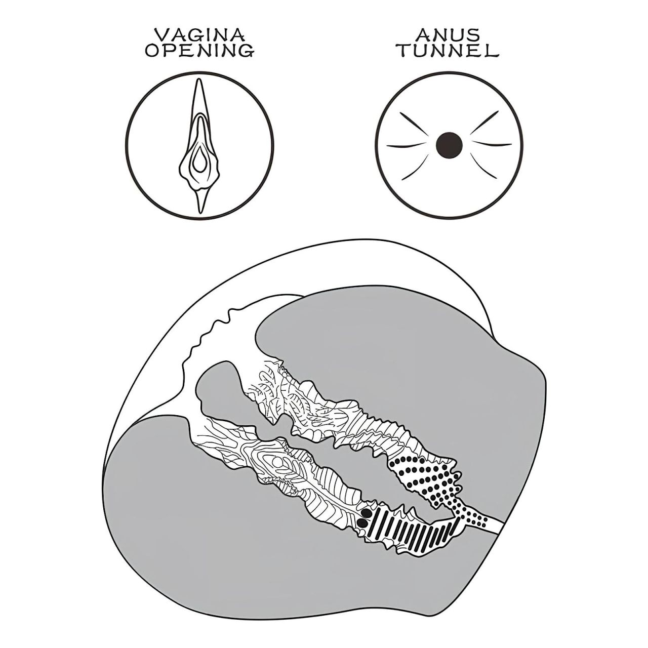 Lovetoy Streetgirl's 12 - műpunci torzó és tanga (sötét natúr)